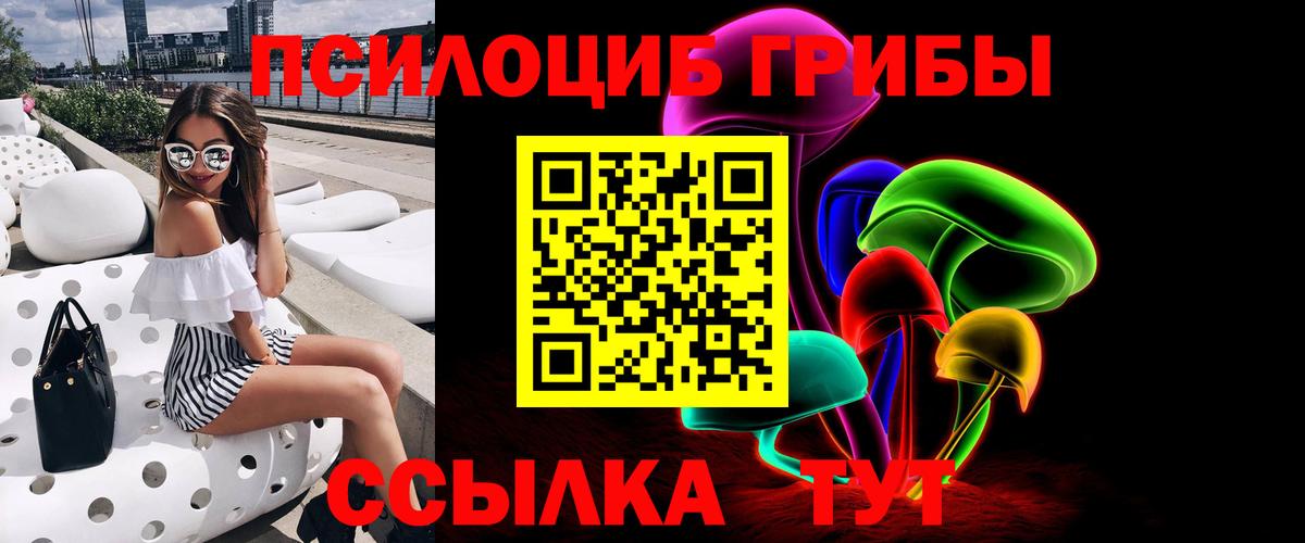Псилоцибиновые грибы Psilocybine cubensis  Псилоцибиновые грибы мицелий  Вход с VPN  Минеральные Воды 
